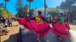 Viña del Mar prepara presentaciones y recorridos para celebrar el Día de los Patrimonios