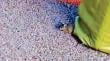 Denuncian plaga de ratones en jardín infantil Rayén de Rocuant Alto: “Esto es impensado”