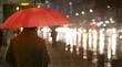 Advierten temporal en La Araucanía: comenzará a llover en Temuco y Villarrica