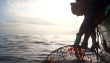 Gonzalo Olea, biólogo marino: “La pesca artesanal puede abastecer mercados con menor huella ambiental”