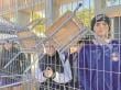 Por desaparición de compañero: alumnos del Liceo Fernando Ariztía en paro