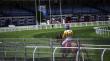 Tragedia en el Sporting de Viña: persona muere tras impacto de caballo contra barrera
