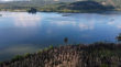 Prevén que el Puente Amdel sobre el Río Biobío será evaluado por el Servicio de Evaluación de Impacto Ambiental en septiembre