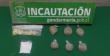 Mujer fue detenida tras intentar ingresar droga a la cárcel de Los Andes