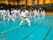 Temuco se convierte en la sede del Karate Internacional: Albergó Seminario Mundial de Karate Shotokan