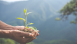 Basf lidera con acciones concretas en sostenibilidad y economía circular
