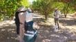 SAG refuerza medidas de control tras detección de mosca de la fruta en la comuna de Huara