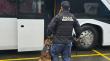 Pasajeros de bus fueron detectados en Pargua portando marihuana