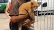 Esperan resultados de diligencias por afectación de mascotas en el megaincencio