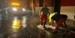 La Cruz registra 47,3 mm de lluvia y mantiene monitoreo activo en puntos críticos