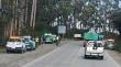 Obrero forestal falleció tras ser aplastado por un árbol en Ancud