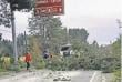 Los Lagos: en situación grave sigue un motociclista afectado por caída de un árbol