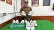 Decomisaron más de mil zapatillas de contrabando en Quillagua