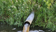 Investigación chilena revela potencial de fotocatalizador para purificar aguas contaminadas