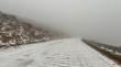 Ruta 15 CH se mantiene suspendida por caída de nieve en Tarapacá