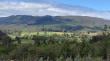 Corte Suprema respalda labor fiscalizadora de Conaf Los Ríos en la protección del bosque nativo