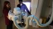 Hospital de Santa Juana cuenta por primera vez en su historia con una tecnóloga médica para el área de imagenología