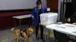 Diputada Marzán (PPD) acude a votar junto a su perro: “Fue un momento lleno de emoción”