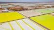 Avanza acuerdo SQM–Codelco tras luz verde a futura extracción de litio en el Salar de Atacama