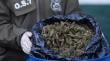 Carabineros ha incautado 2.500 kilos de drogas en lo que va de 2025 en la Región de Valparaíso