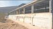 Crisis silenciosa en Copiapó: perros sin control y canil municipal sin capacidad