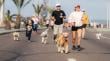 Antofagasta vivirá este domingo la segunda Corrida Familiar Perruna en playa Trocadero
