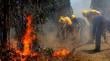 Más de la mitad de los incendios forestales en La Araucanía fueron por negligencia