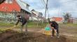 Vecinos lideran transforman microbasural en sector oriente de Osorno en huerto urbano