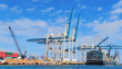 Panamá supera los 4 millones de TEUs movilizados hasta mayo impulsado por trasbordos