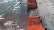 [VIDEO] Denuncian mancha oleosa en la costa de Valparaíso: Armada informó análisis y monitoreo