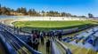 Otro club capitalino a Viña: Colo Colo pide jugar con Real Valladolid en el Sausalito