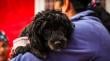 3.002 esterilizaciones y 602 implantes de microchips se realizaron en Antofagasta entre marzo y julio