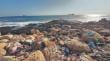 Microbasurales contaminan roqueríos costeros del sector sur de Antofagasta