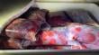 Sernapesca y Carabineros incautan 936 kilos de carne de piure en Ruta 5 Sur a la altura de Quepe
