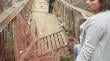 Tramo del puente colgante del cerro Alegre colapsó cuando escolar cruzaba