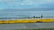 Tras más de 24 horas de la alerta de tsunami los iquiqueños volvieron al borde costero