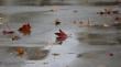 Más 8 mm de agua caída ha dejado la lluvia hasta el momento en Valparaíso