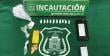 Intentaron lanzar droga y celulares a la cárcel de Los Andes durante la madrugada