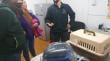 Ancud realiza exitoso operativo de esterilización e identificación de felinos