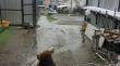 [VIDEO] Talud en trayecto del tren a Puerto Varas estaría presentando filtraciones