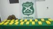 [VIDEO] Decomisan más de 19 kilos de clorhidrato de cocaína  en ruta cerca del poblado de Tarapacá: dos detenidos