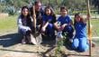 Reforestan plaza Nautilus con especies nativas en Los Molles