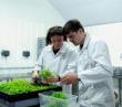 Fomento Los Ríos impulsa la innovación sostenible con tres convocatorias abiertas bajo el programa Sostenibles x Naturaleza