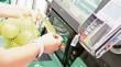 Ñuble registra una de las mayores caídas en ventas de supermercados a nivel nacional