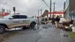 Carabineros y Seguridad Municipal realizan despeje de vía pública en sector Estación de Temuco