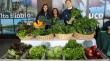 Feria Campesina Biobío tiene nueva ubicación en Los Ángeles
