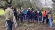 Prodesal y estudiantes del Liceo Insular realizan jornada de poda en Curaco de Vélez