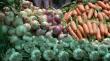 Agricultores de Pica y Bajo Soga comienzan a utilizar el seguro contra la mosca de la fruta
