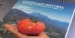 Limache: lanzarán libro que rescata la historia del Tomate Limachino Antiguo