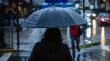 Lluvia, viento de hasta 80 km/h y nevadas se esperan desde este jueves en la Región de Valparaíso